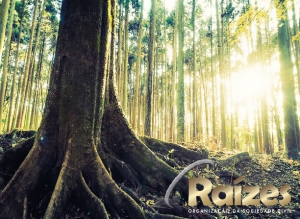 Instituto Ra&iacute;zes