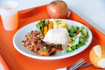 Instituto Ra&iacute;zes